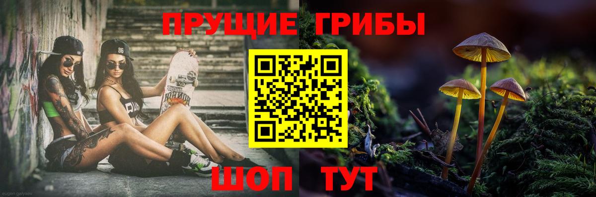 цены наркотик  Вход с VPN  Майский  Псилоцибиновые грибы Cubensis 
