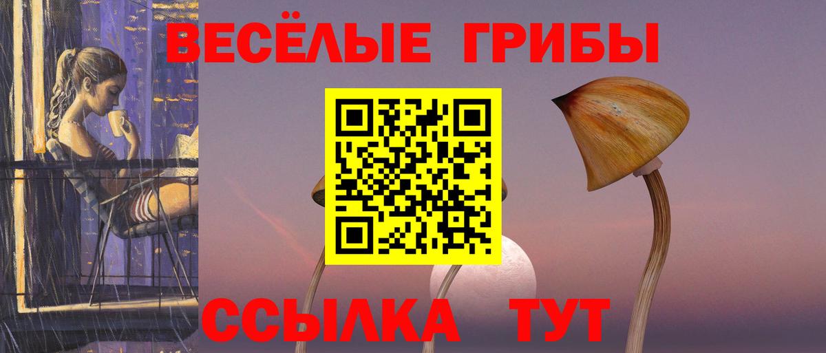 Псилоцибиновые грибы Cubensis Майский